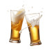 OCEAN:PILSNER 12 OZ 340ML (B00912)
